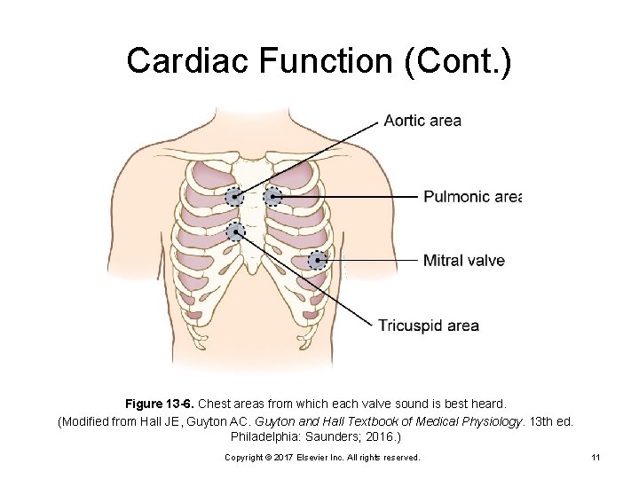 Cardiac Function (Cont. ) Figure 13 -6. Chest areas from which each valve sound