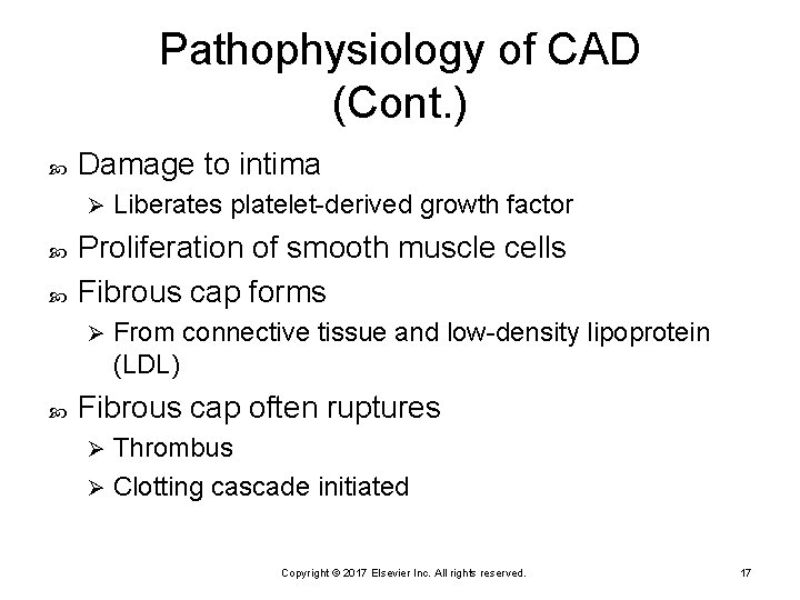 Pathophysiology of CAD (Cont. ) Damage to intima Ø Proliferation of smooth muscle cells