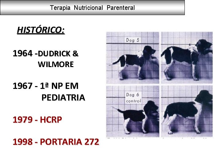 Terapia Nutricional Parenteral HISTÓRICO: 1964 -DUDRICK & WILMORE 1967 - 1ª NP EM PEDIATRIA