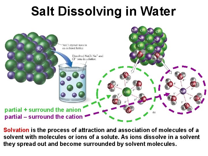 Salt Dissolving in Water partial + surround the anion partial – surround the cation Salt Dissolving in Water partial + surround the anion partial – surround the cation