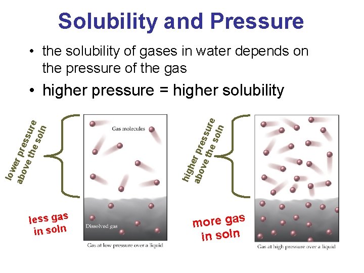 Solubility and Pressure • the solubility of gases in water depends on the pressure Solubility and Pressure • the solubility of gases in water depends on the pressure