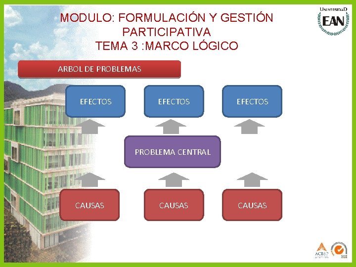 MODULO: FORMULACIÓN Y GESTIÓN PARTICIPATIVA TEMA 3 : MARCO LÓGICO ARBOL DE PROBLEMAS EFECTOS