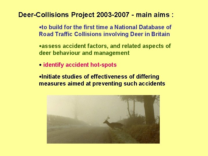 Deer-Collisions Project 2003 -2007 - main aims : ·to build for the first time