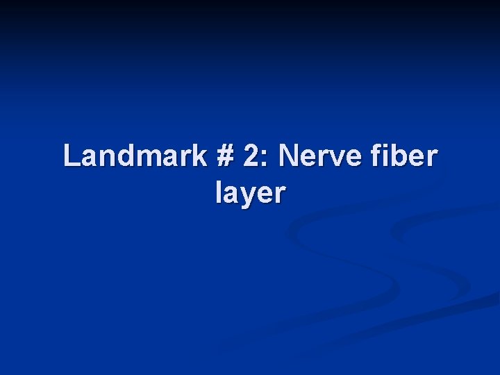 Landmark # 2: Nerve fiber layer 