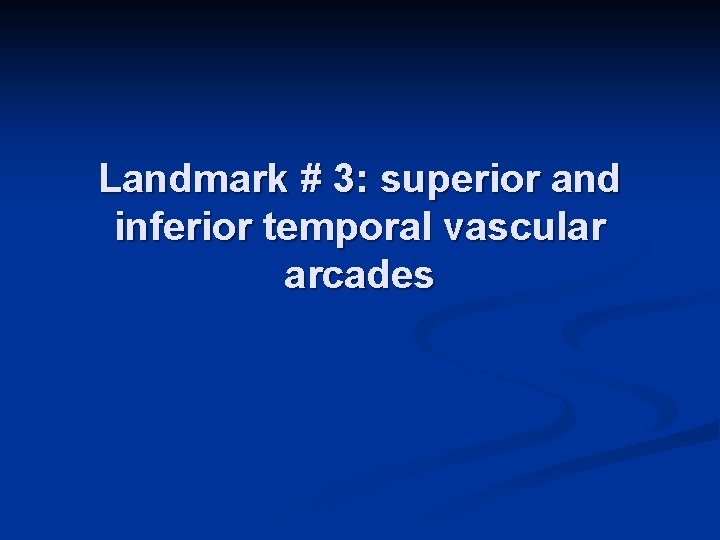 Landmark # 3: superior and inferior temporal vascular arcades 
