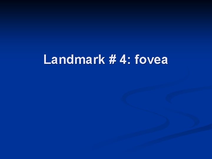 Landmark # 4: fovea 