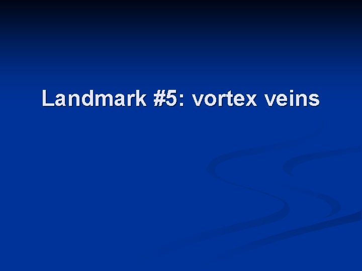 Landmark #5: vortex veins 