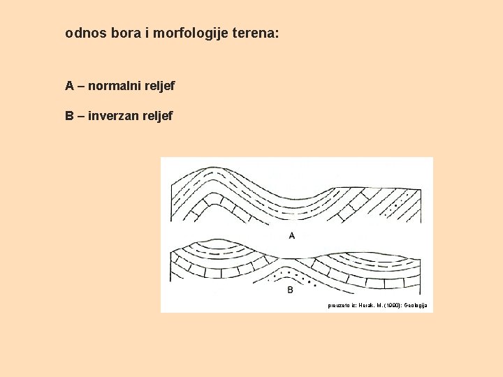 odnos bora i morfologije terena: A – normalni reljef B – inverzan reljef preuzeto