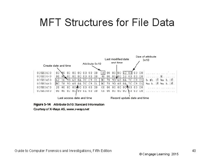 MFT Structures for File Data Guide to Computer Forensics and Investigations, Fifth Edition ©