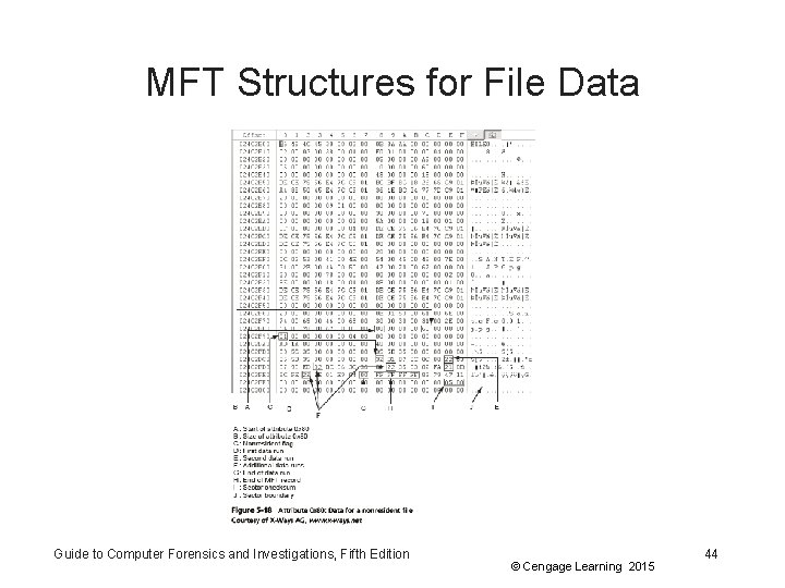 MFT Structures for File Data Guide to Computer Forensics and Investigations, Fifth Edition ©