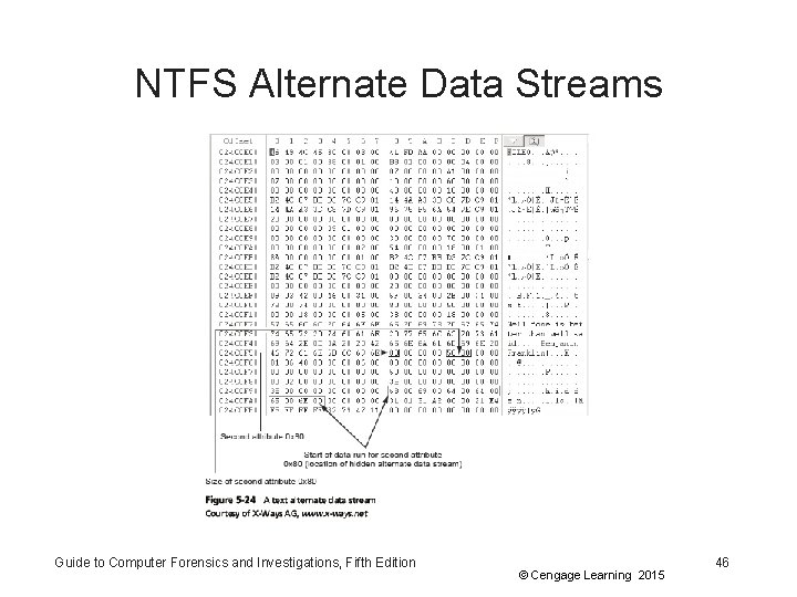 NTFS Alternate Data Streams Guide to Computer Forensics and Investigations, Fifth Edition © Cengage