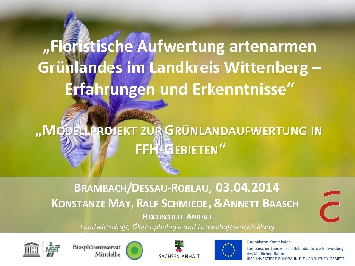 „Floristische Aufwertung artenarmen Grünlandes im Landkreis Wittenberg – Erfahrungen und Erkenntnisse“ „MODELLPROJEKT ZUR GRÜNLANDAUFWERTUNG