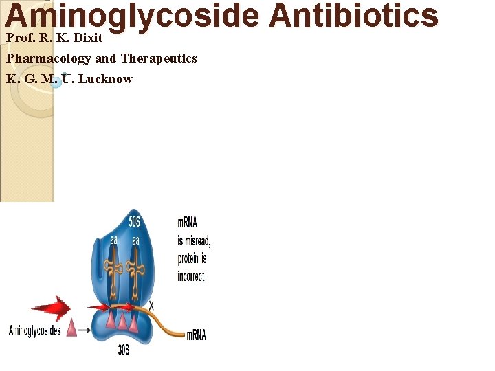 Aminoglycoside Antibiotics Prof. R. K. Dixit Pharmacology and Therapeutics K. G. M. U. Lucknow