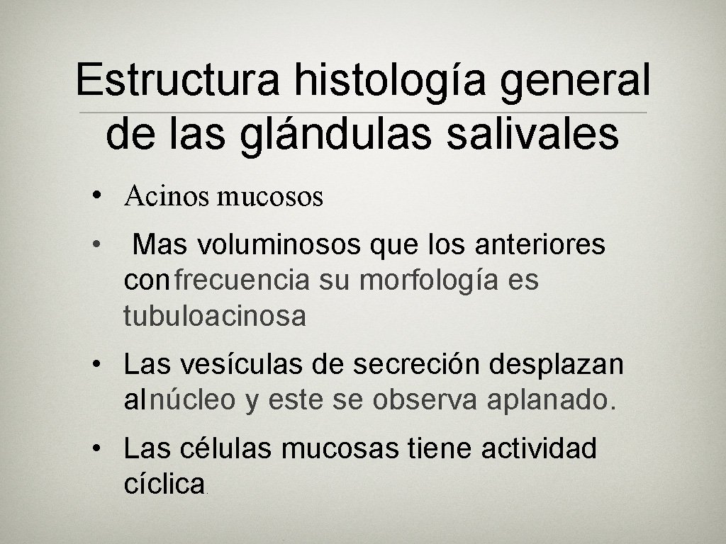 Estructura histología general de las glándulas salivales • Acinos mucosos • Mas voluminosos que