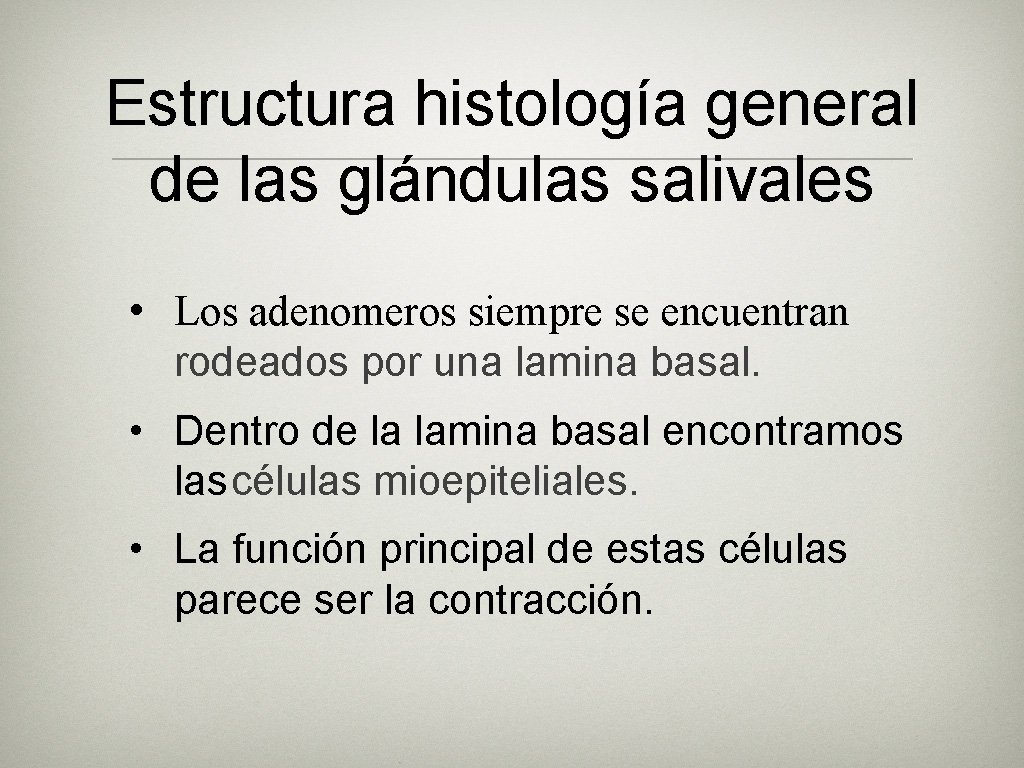 Estructura histología general de las glándulas salivales • Los adenomeros siempre se encuentran rodeados Estructura histología general de las glándulas salivales • Los adenomeros siempre se encuentran rodeados