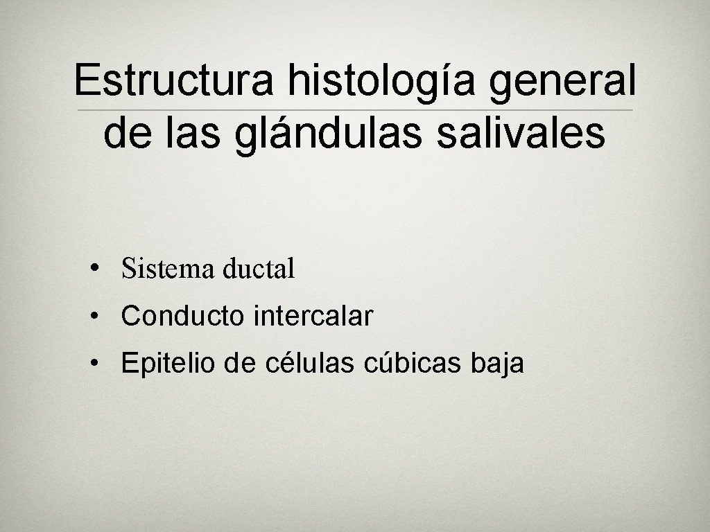 Estructura histología general de las glándulas salivales • Sistema ductal • Conducto intercalar • Estructura histología general de las glándulas salivales • Sistema ductal • Conducto intercalar •