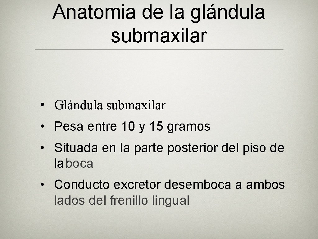 Anatomia de la glándula submaxilar • Glándula submaxilar • Pesa entre 10 y 15