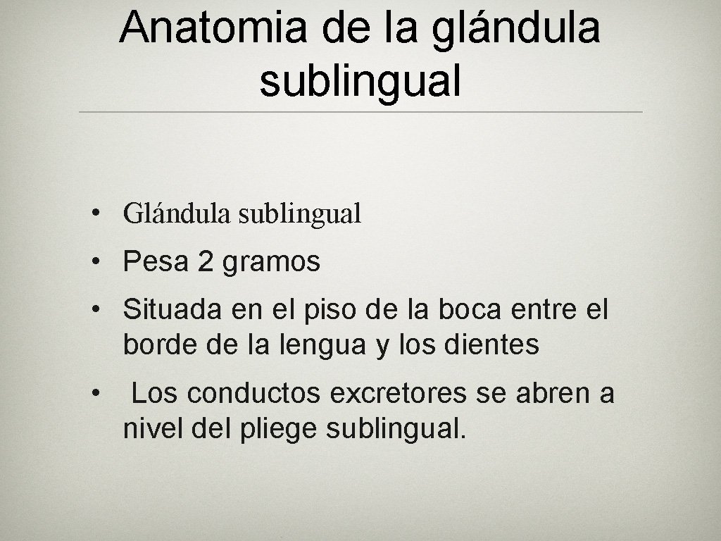 Anatomia de la glándula sublingual • Glándula sublingual • Pesa 2 gramos • Situada
