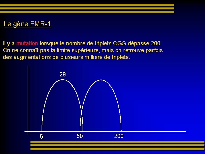 Le gène FMR-1 Il y a mutation lorsque le nombre de triplets CGG dépasse