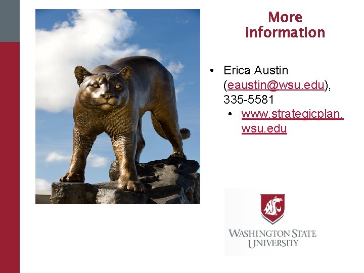 More information • Erica Austin (eaustin@wsu. edu), 335 -5581 • www. strategicplan. wsu. edu