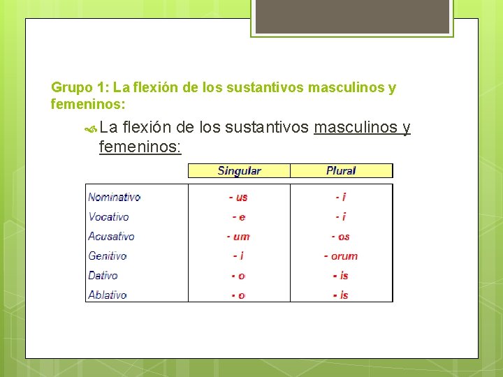 Grupo 1: La flexión de los sustantivos masculinos y femeninos: 