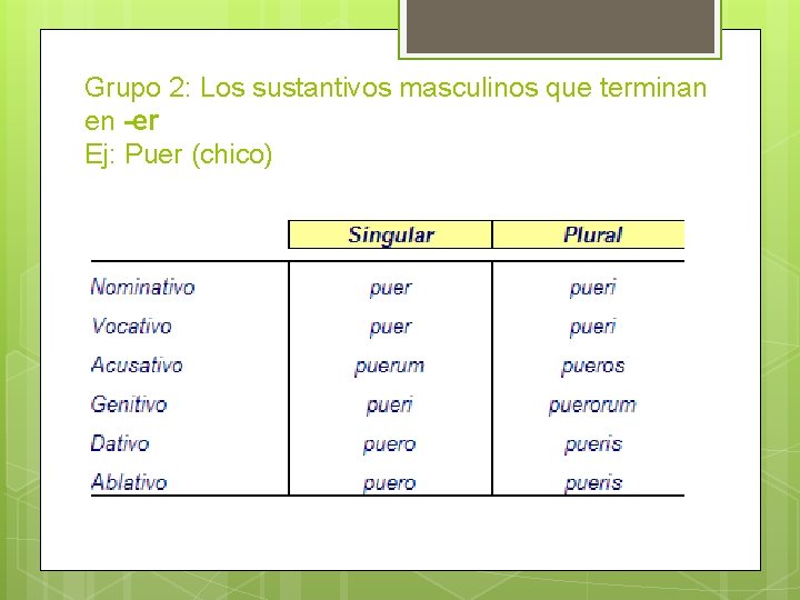 Grupo 2: Los sustantivos masculinos que terminan en -er Ej: Puer (chico) 