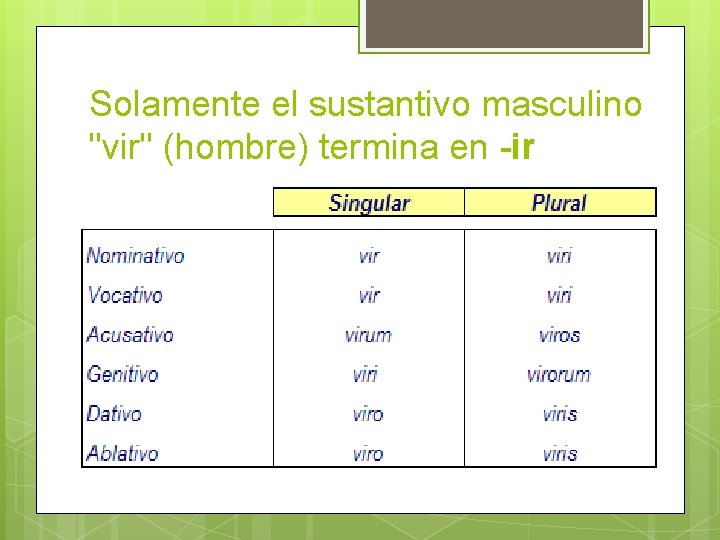 Solamente el sustantivo masculino "vir" (hombre) termina en -ir 