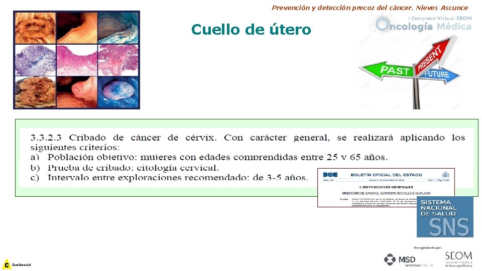 Prevención y detección precoz del cáncer. Nieves Ascunce Cuello de útero 