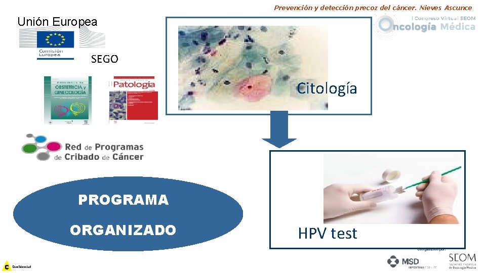 Prevención y detección precoz del cáncer. Nieves Ascunce Unión Europea SEGO Citología PROGRAMA ORGANIZADO