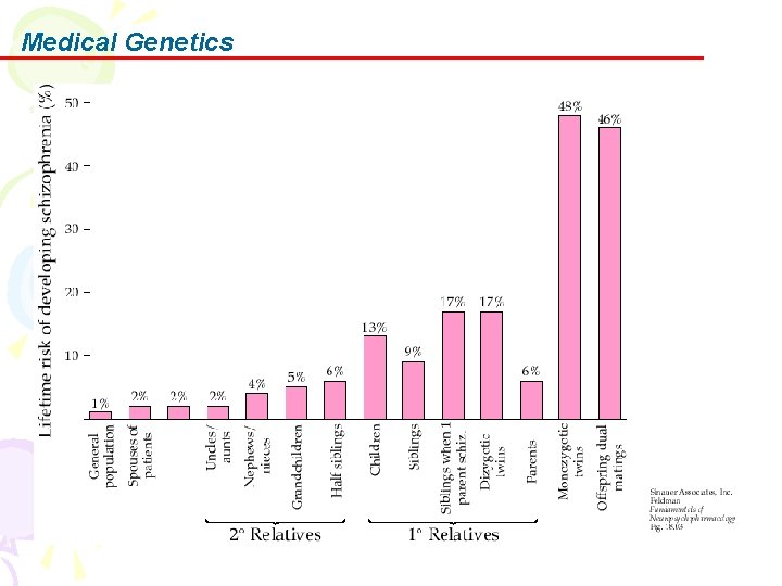 Medical Genetics 
