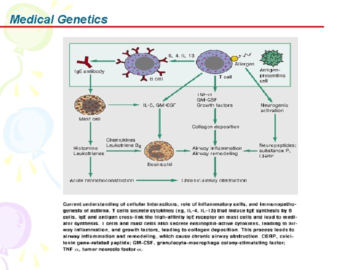 Medical Genetics 