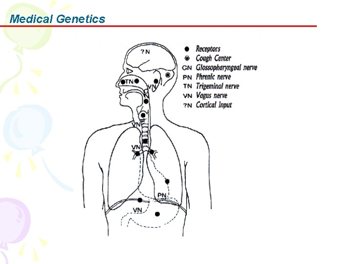 Medical Genetics 