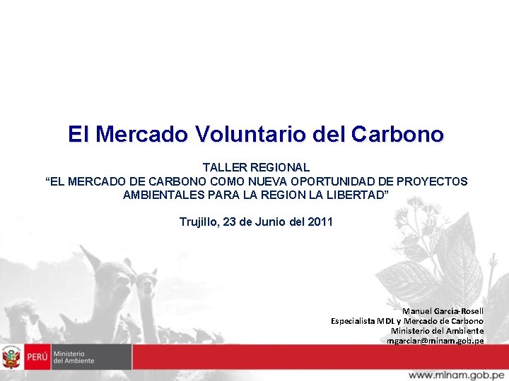 El Mercado Voluntario del Carbono TALLER REGIONAL “EL MERCADO DE CARBONO COMO NUEVA OPORTUNIDAD