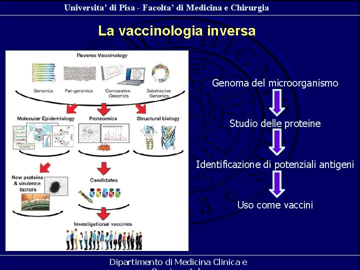 Universita’ di Pisa - Facolta’ di Medicina e Chirurgia La vaccinologia inversa Genoma del Universita’ di Pisa - Facolta’ di Medicina e Chirurgia La vaccinologia inversa Genoma del
