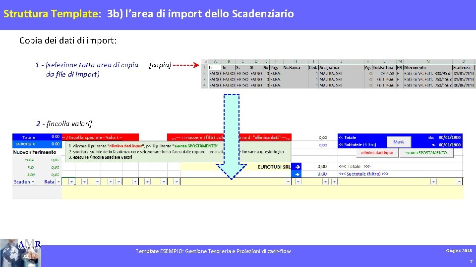 Struttura Template: 3 b) l’area di import dello Scadenziario Copia dei dati di import:
