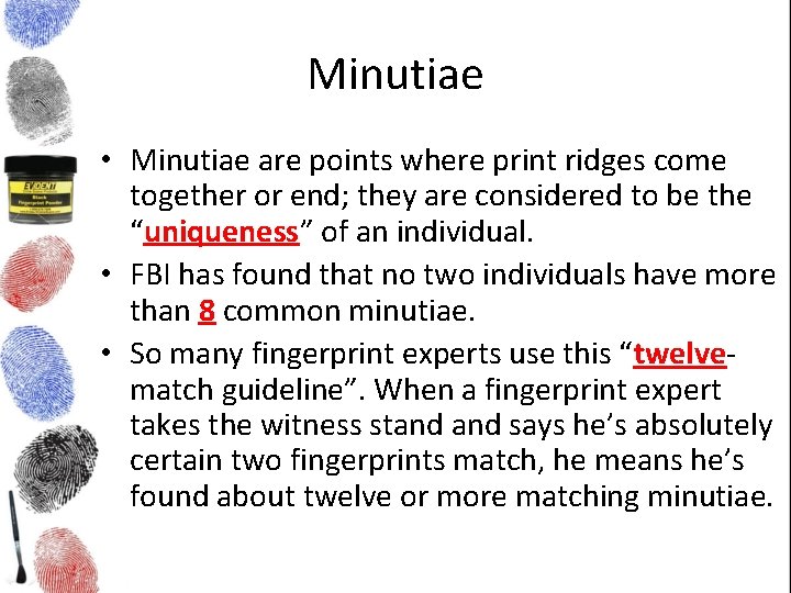 Minutiae • Minutiae are points where print ridges come together or end; they are