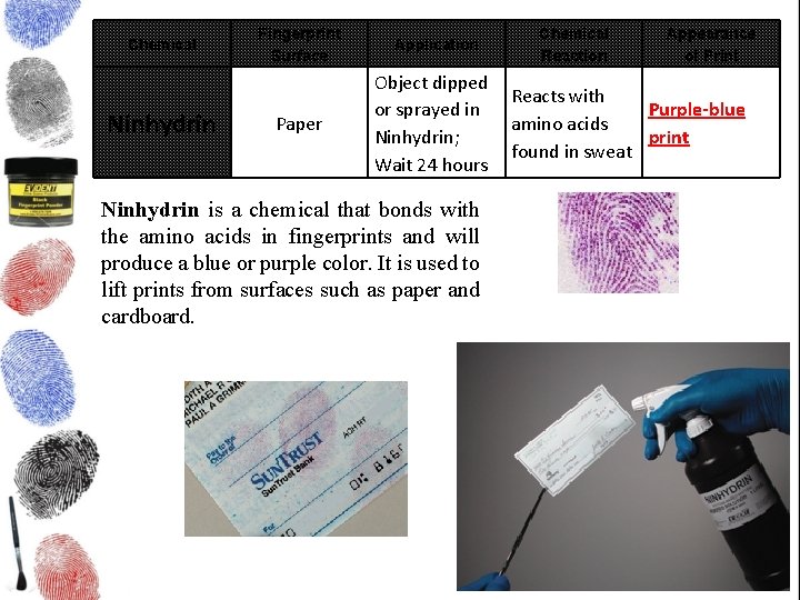 Chemical Ninhydrin Fingerprint Surface Paper Application Chemical Reaction Appearance of Print Object dipped Reacts