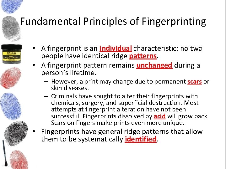 Fundamental Principles of Fingerprinting • A fingerprint is an individual characteristic; no two people