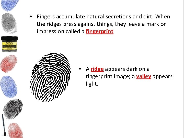  • Fingers accumulate natural secretions and dirt. When the ridges press against things,