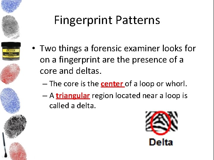 Fingerprint Patterns • Two things a forensic examiner looks for on a fingerprint are