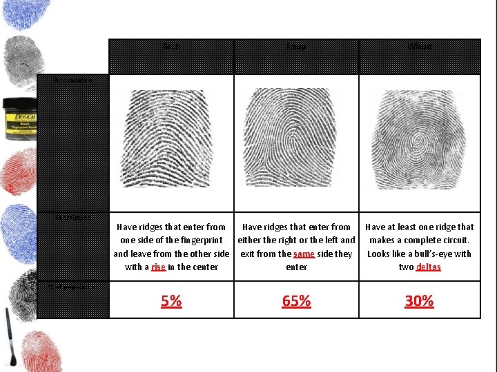  Arch Loop Whorl Appearance Description % of population Have ridges that enter from