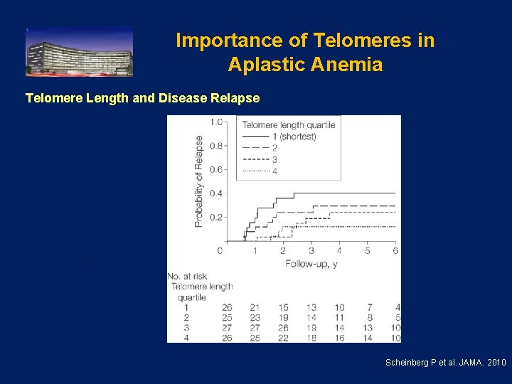 Importance of Telomeres in Aplastic Anemia Telomere Length and Disease Relapse . Scheinberg P