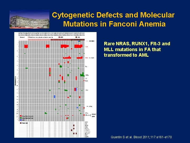 Cytogenetic Defects and Molecular Mutations in Fanconi Anemia Rare NRAS, RUNX 1, Flt-3 and