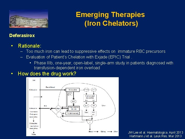 Emerging Therapies (Iron Chelators) Deferasirox • Rationale: – Too much iron can lead to