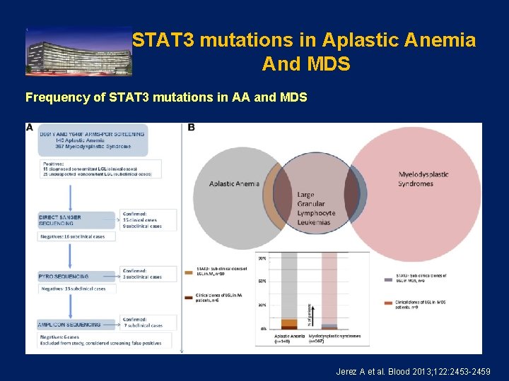 STAT 3 mutations in Aplastic Anemia And MDS Frequency of STAT 3 mutations in