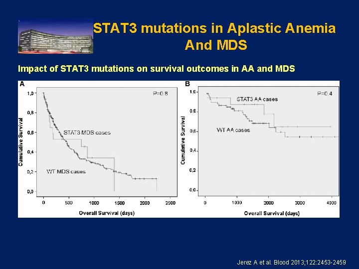 STAT 3 mutations in Aplastic Anemia And MDS Impact of STAT 3 mutations on