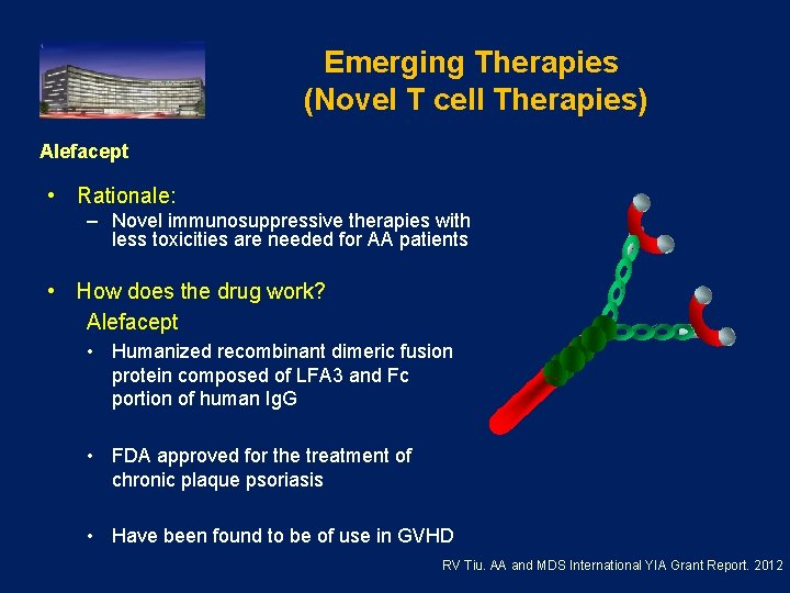 Emerging Therapies (Novel T cell Therapies) Alefacept • Rationale: – Novel immunosuppressive therapies with