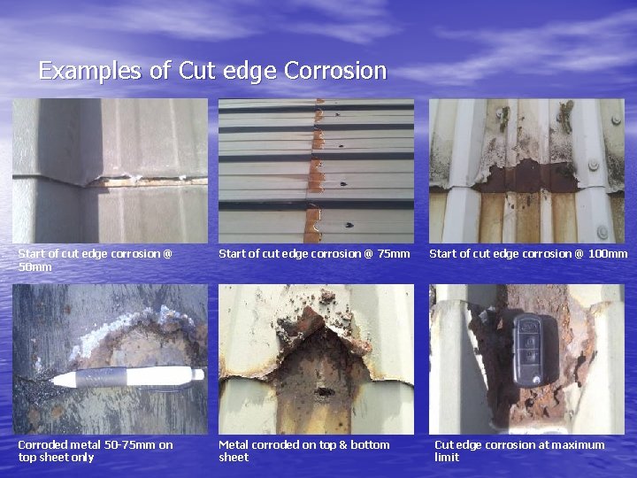 Examples of Cut edge Corrosion Start of cut edge corrosion @ 50 mm Start