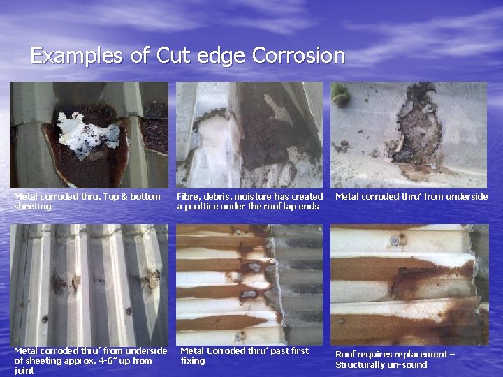 Examples of Cut edge Corrosion Metal corroded thru. Top & bottom sheeting Metal corroded