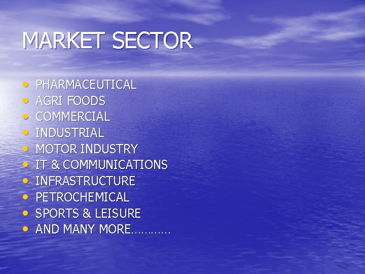 MARKET SECTOR • • • PHARMACEUTICAL AGRI FOODS COMMERCIAL INDUSTRIAL MOTOR INDUSTRY IT &